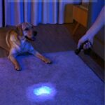 Anker Bolder UV Flashlight Rechargeable, 380nm Ultraviolet Blacklight Detector for Dog Urine, Pet Stains and Fluorescent Material, Pocket-Size LED Torch, IPX5 Waterproof