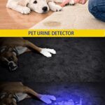 DARKBEAM UV Light Rechargeable USB Flashlight 395nm Blacklight Ultraviolet Wood’s Lamp LED Portable Mini Handheld Pocket Torch Detector for Dog Urine Pet Stains 400nm Anti-counterfeiting, Resin Curing