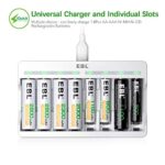 EBL Rechargeable AA Batteries 2800mAh (4 Pack) and AAA Ni-MH Rechargeable Batteries 1100mAh (4 Pack) with 8-Bay AA AAA Individual Battery Charger